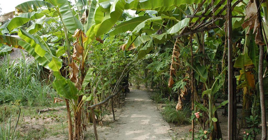 Samon Village 캄폿 외부 사진